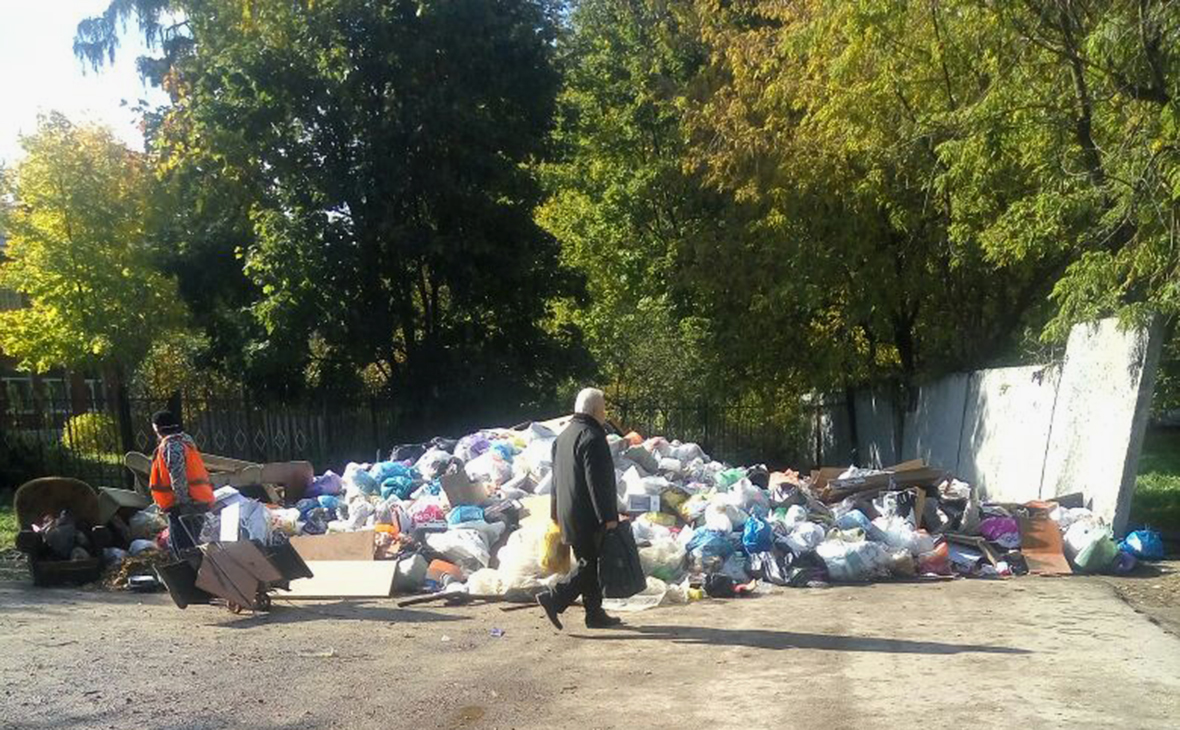 Отзыв о Вывоз мусора в Пушкино