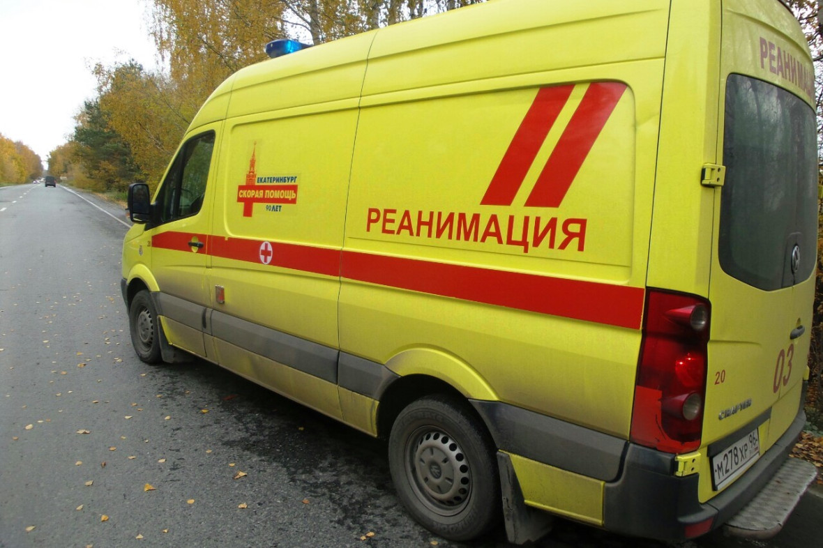Фото: 66.RU