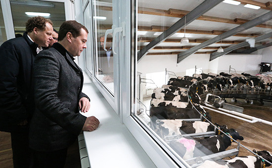 Председатель правительства России Дмитрий Медведев во время осмотра животноводческого комплекса «ЭкоНиваАгро» в селе Залужское Воронежской области. На втором плане — глава холдинга «ЭкоНива» Штефан Дюрр. Архивное фото