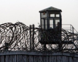 Фото: ria.ru