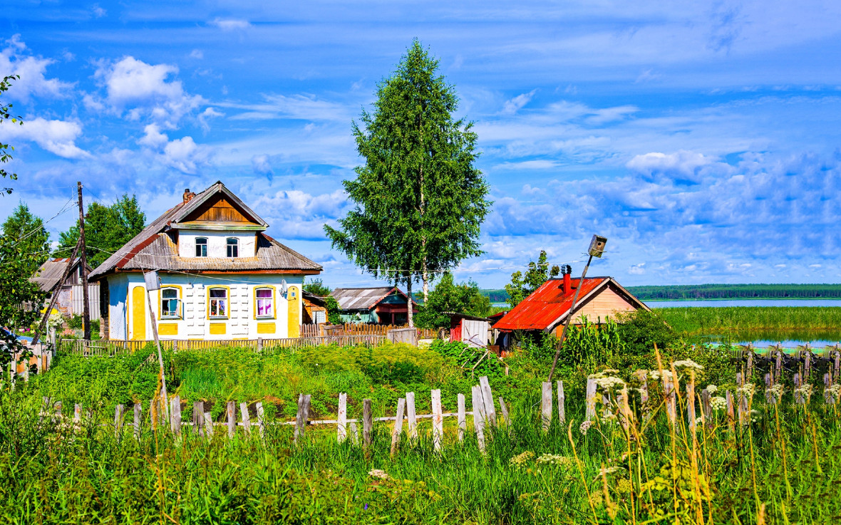 Фото:Dmitry Demkin/shutterstock