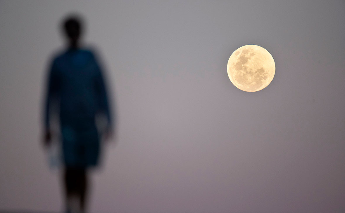 Фото: Brook Mitchell / Getty Images