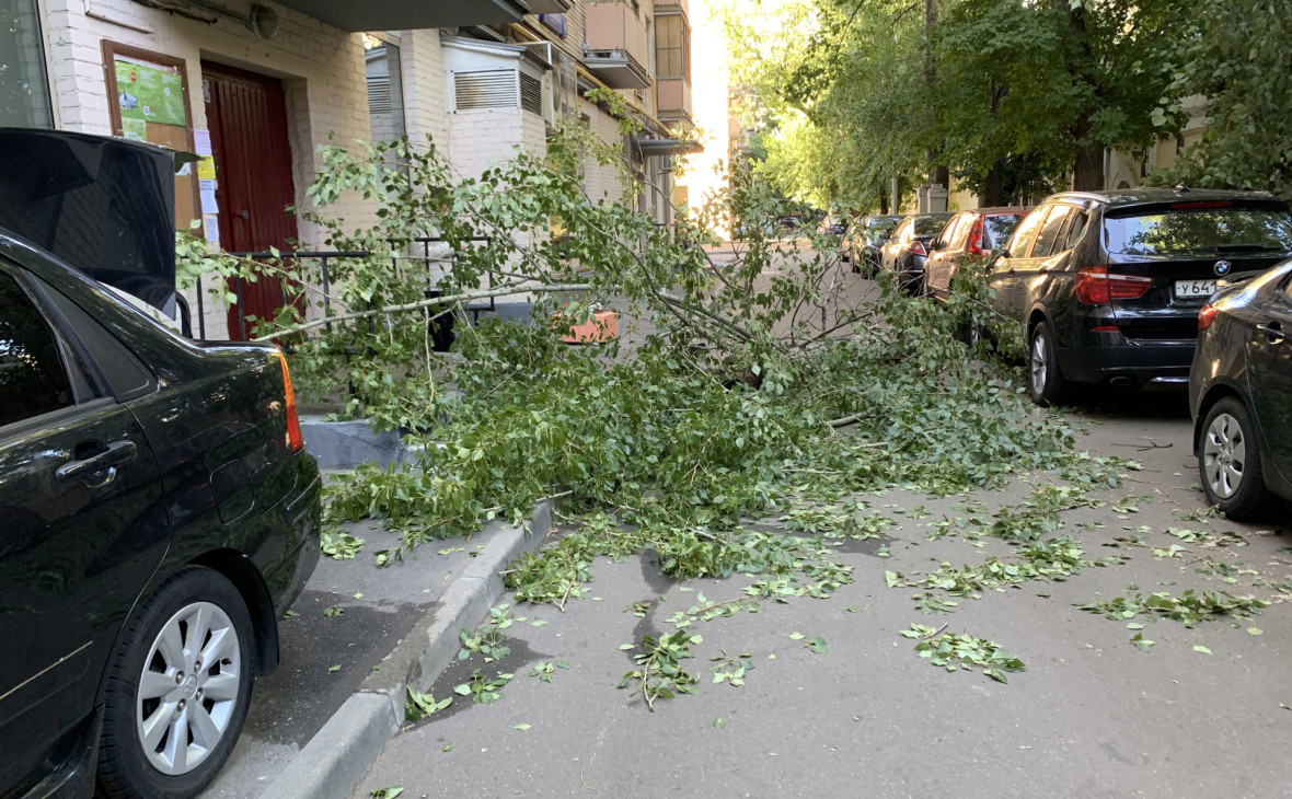 Фото: Владимир Баранов / РИА Новости