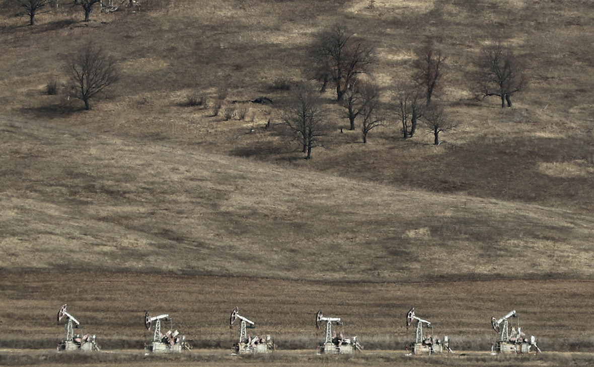 Фото: Егор Алеев / ТАСС