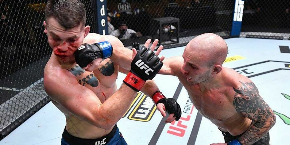 Фото:UFC