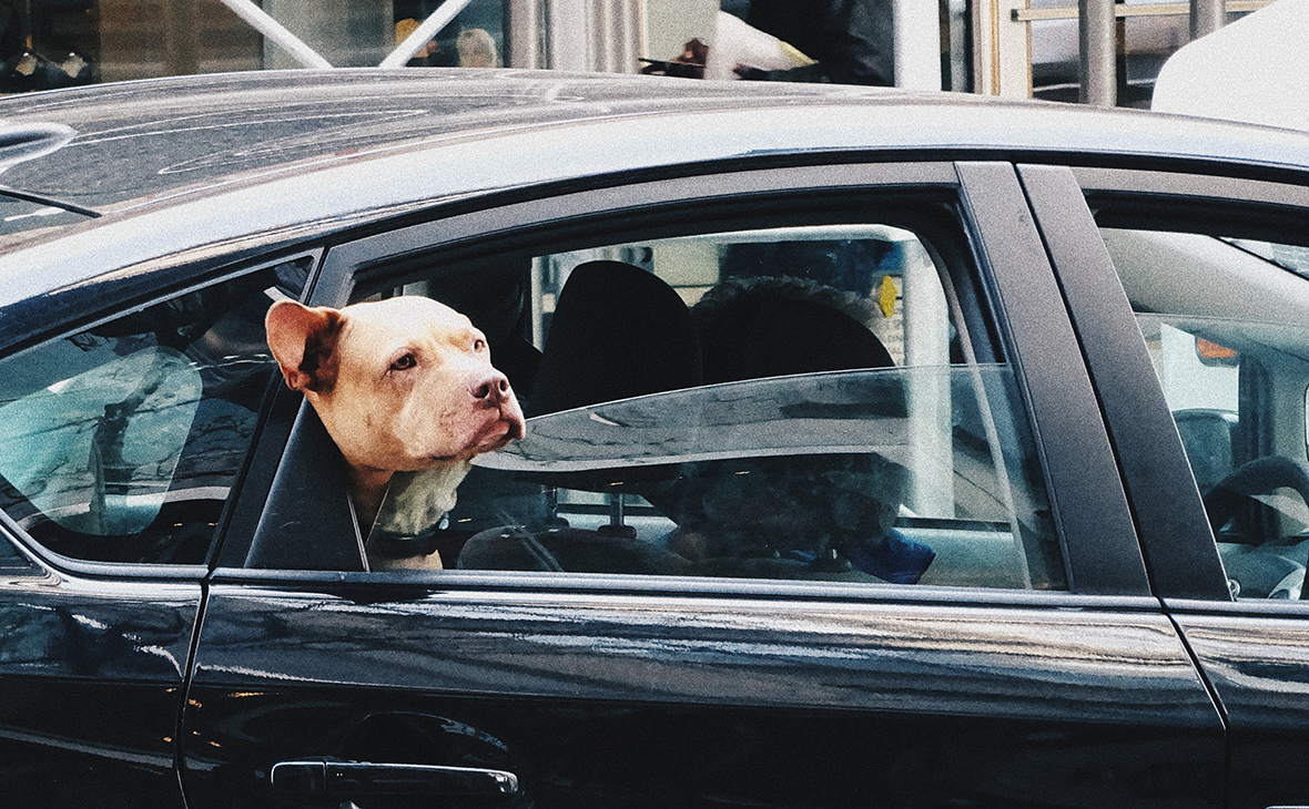 Фото:Jerome Moq / Unsplash