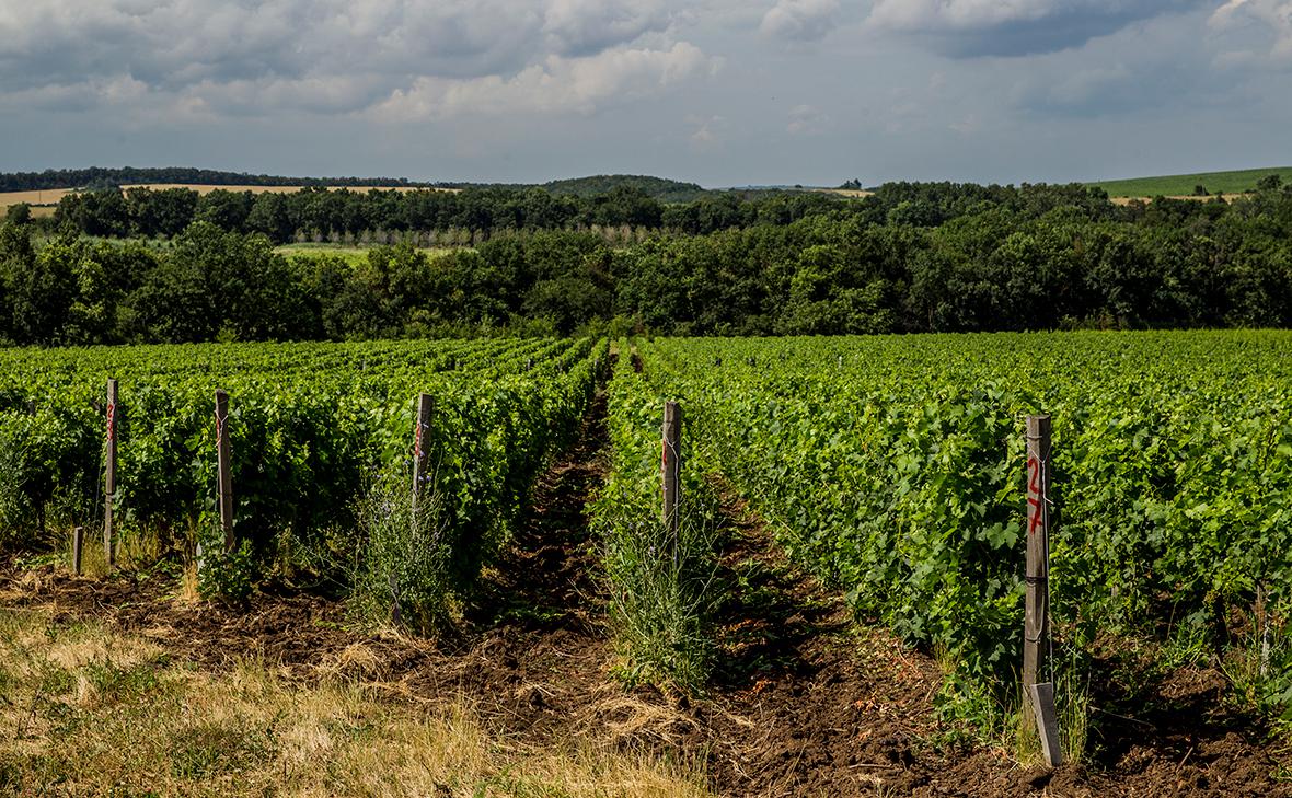 Фото: Александр Демьянчук / ТАСС