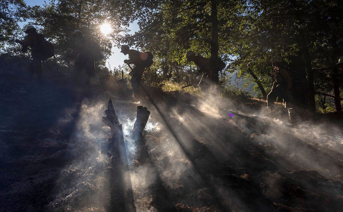 Фото:David McNew / Getty Images