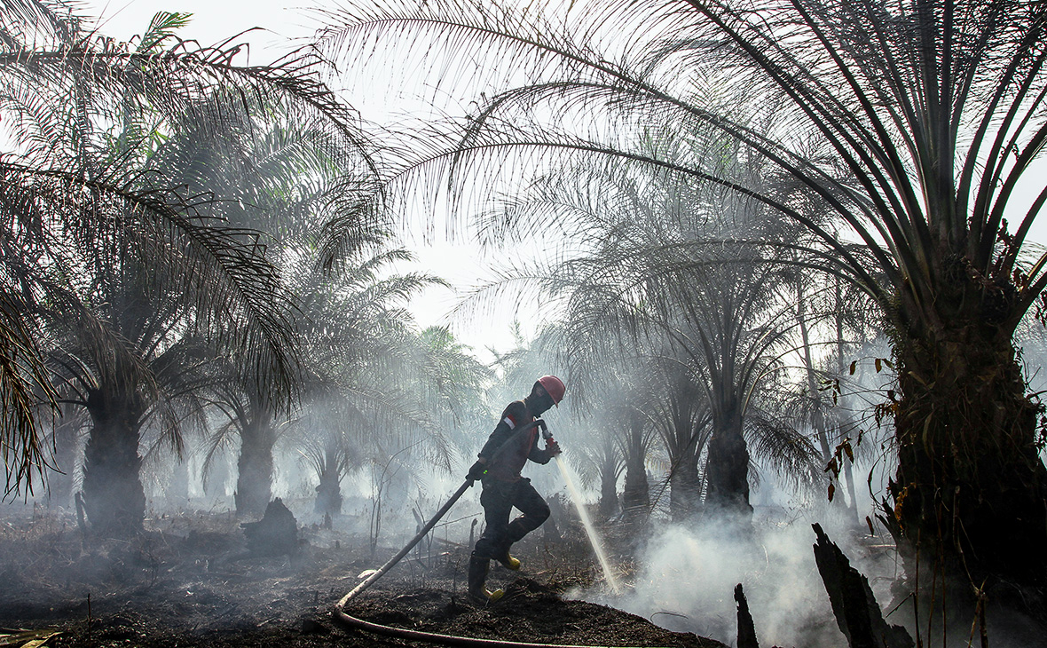 Фото:Antara Foto / Rony Muharrman / Reuters
