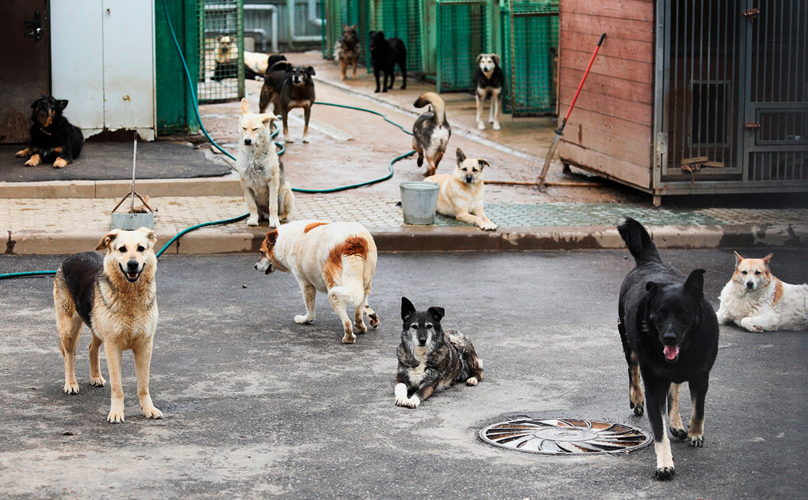 Фото: Кирилл Зыков / АГН «Москва»