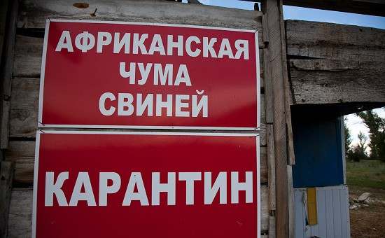 Фото: volganet.ru