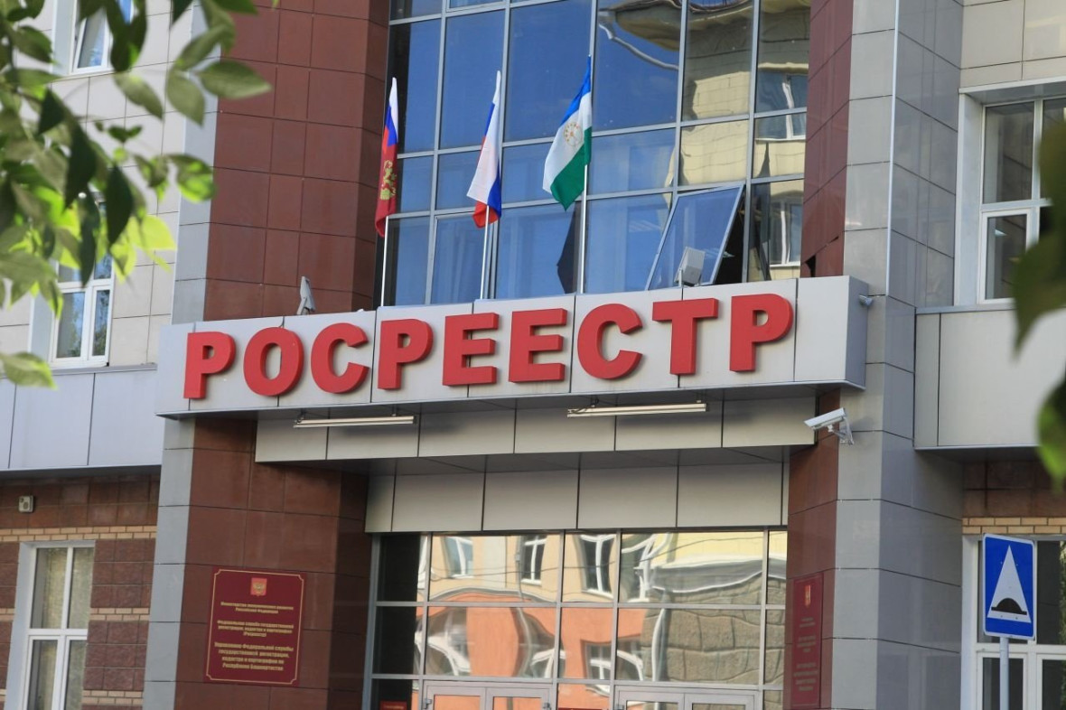 Фото:открытые источники