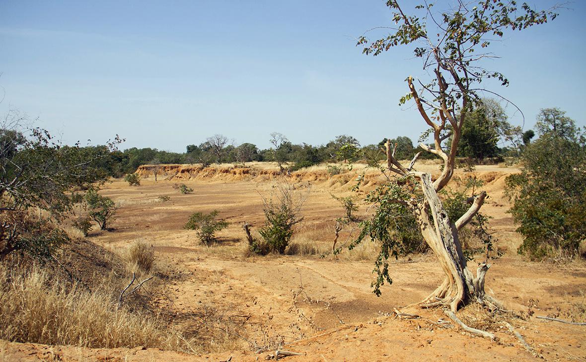 Регион Сахель