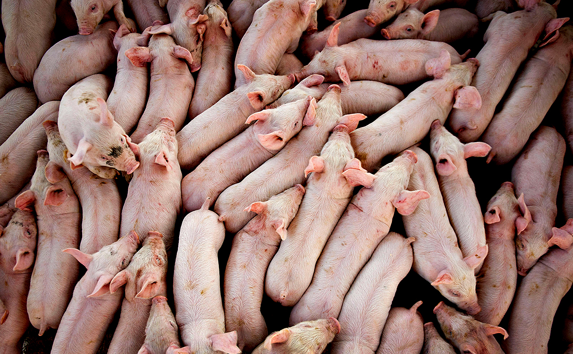 Фото:Daniel Acker / Bloomberg