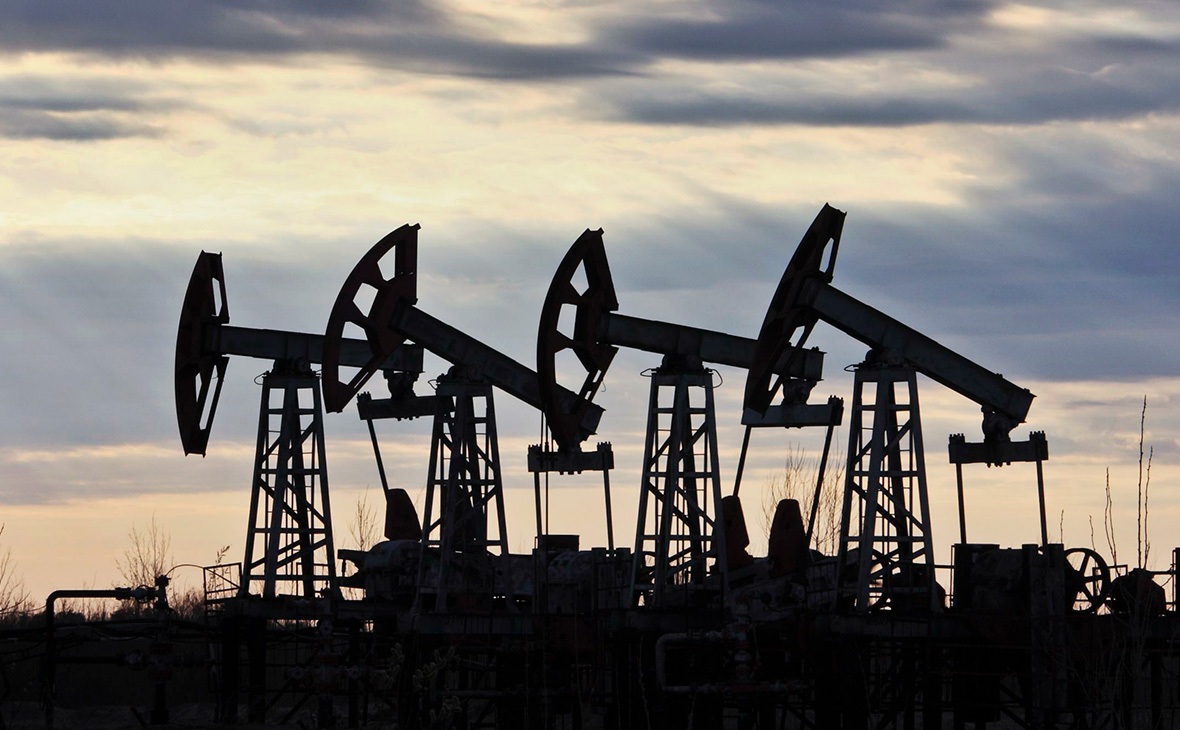 Фото: Николай Гынгазов / Global Look Press