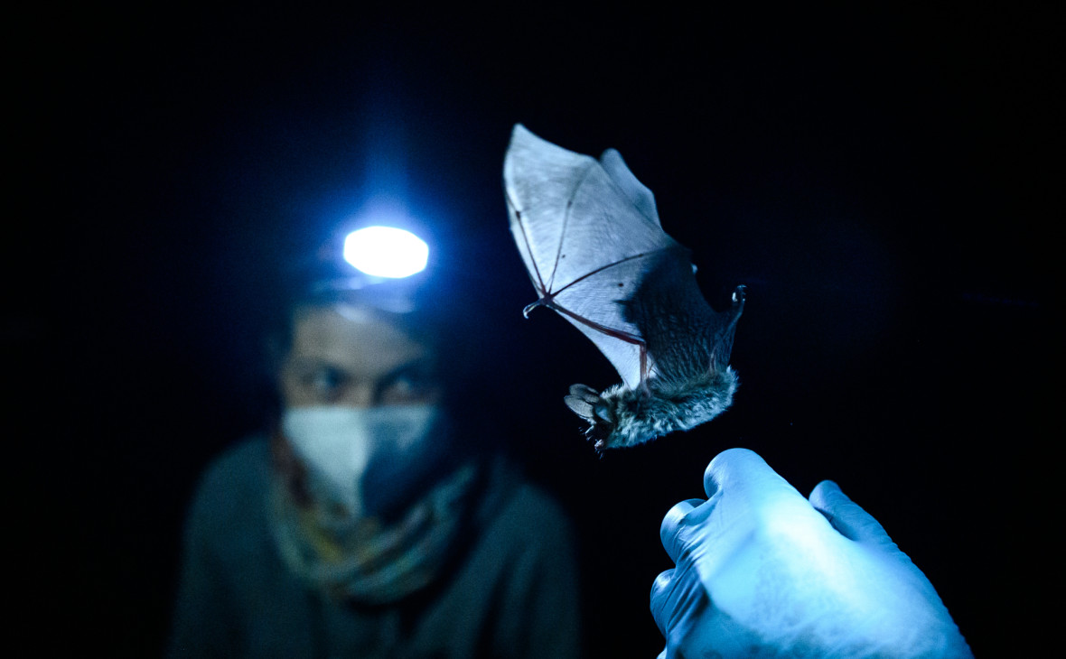 Фото:Andreas Arnold / dpa / Global Look Press