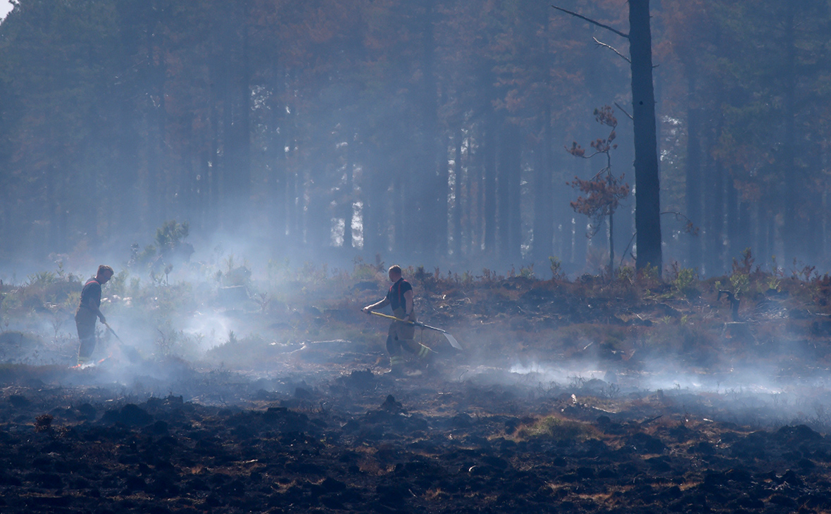 Фото: Finnbarr Webster / Getty Images