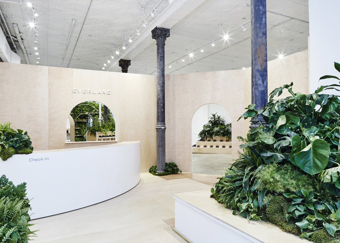 Фото: Everlane