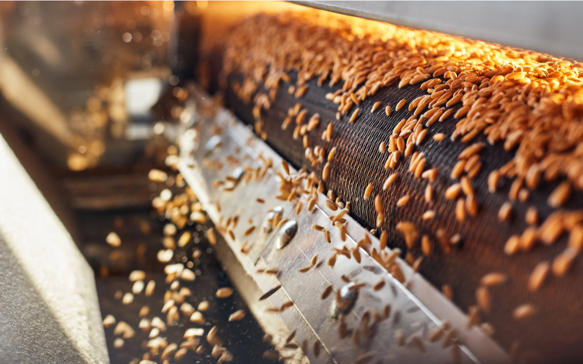 Цены на пшеницу в Европе достигли рекорда из-за запрета Индии на экспорт
