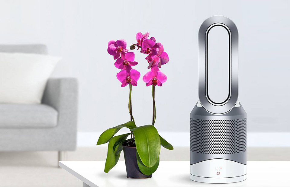 Фото: пресс-служба dyson