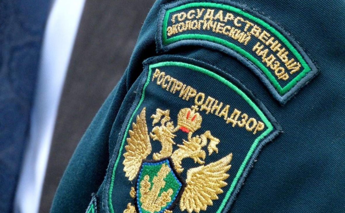 Фото: rpn.gov.ru