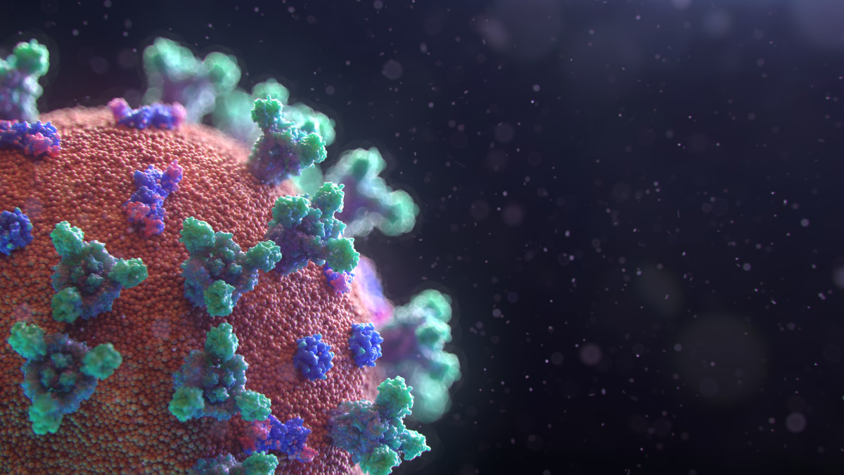 Фото: Fusion Medical Animation/Unsplash