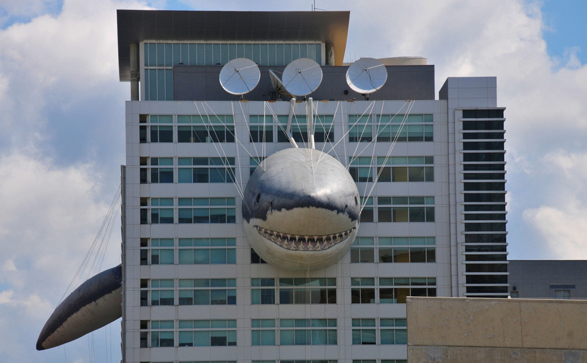 Надувная&nbsp;акула на здании штаб-квартиры Discovery Channel