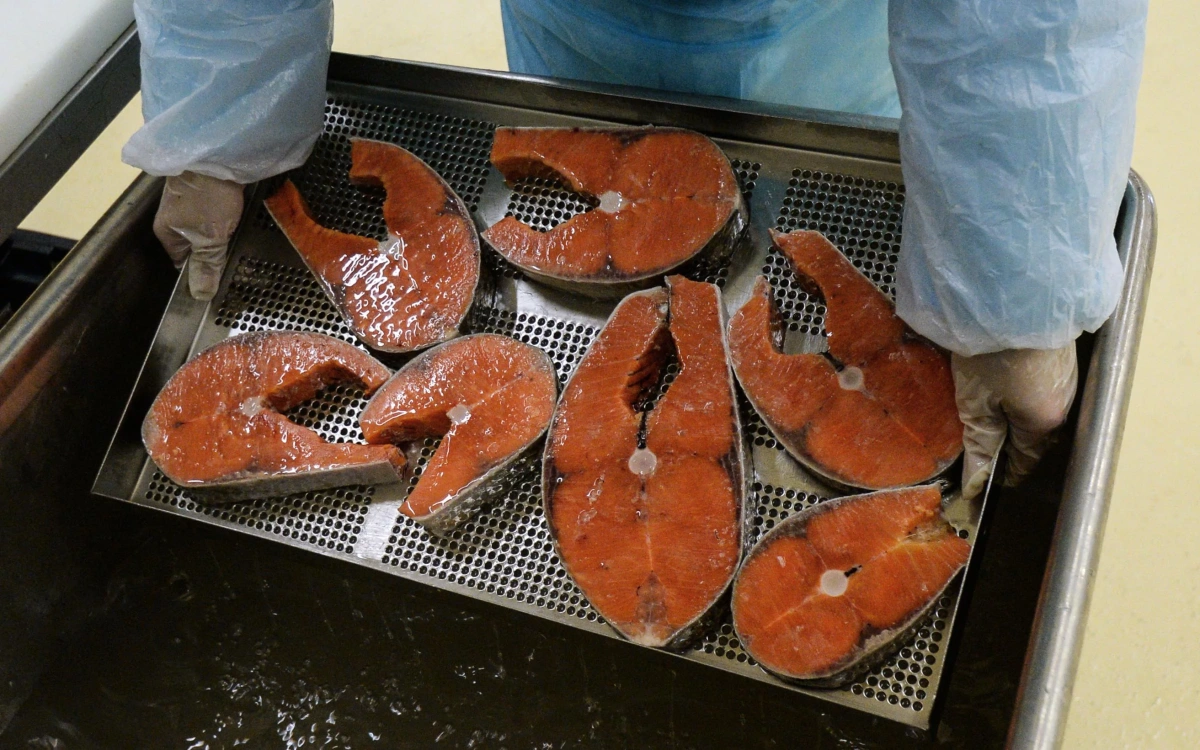 Акции «Инарктики» упали на усилении запрета США на ввоз российской рыбы