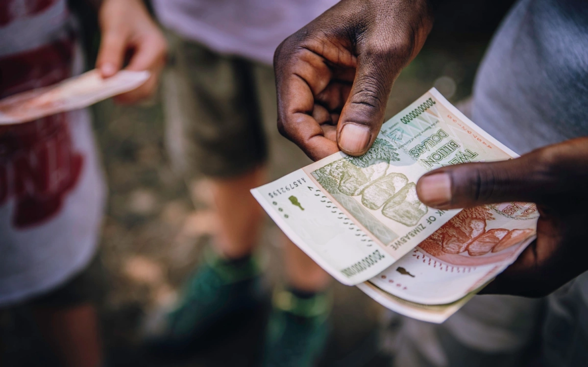 Валюта Зимбабве показала по итогам июня сильнейший в мире рост к доллару