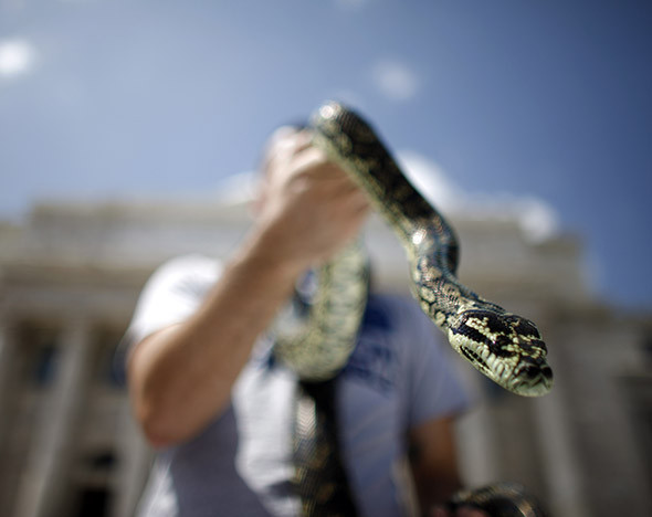 Фото: AP