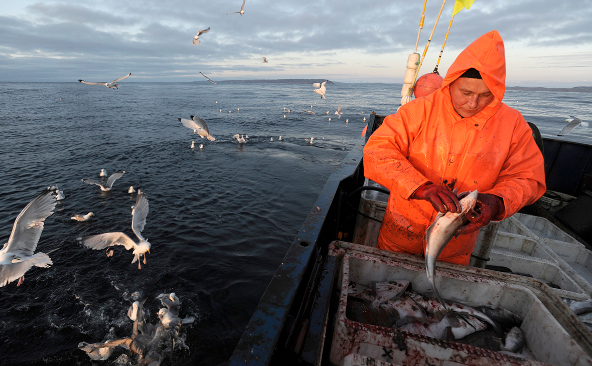 Ловля рыбы в баренцевом море британия