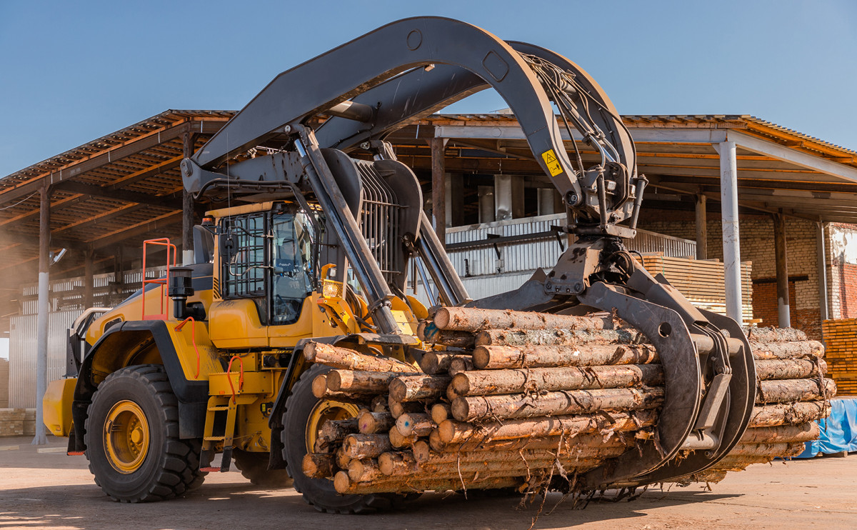 Segezha Group увеличила квартальную выручку на 96%
