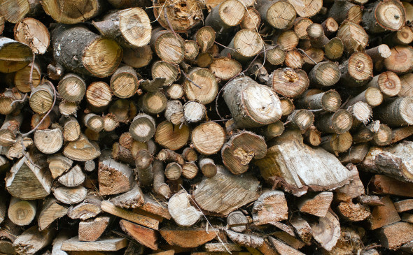 ФАС одобрила продажу лесопромышленных активов Bonum компании Segezha