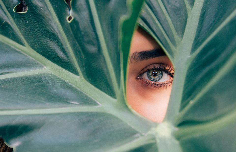 Фото: Drew Graham/Unsplash