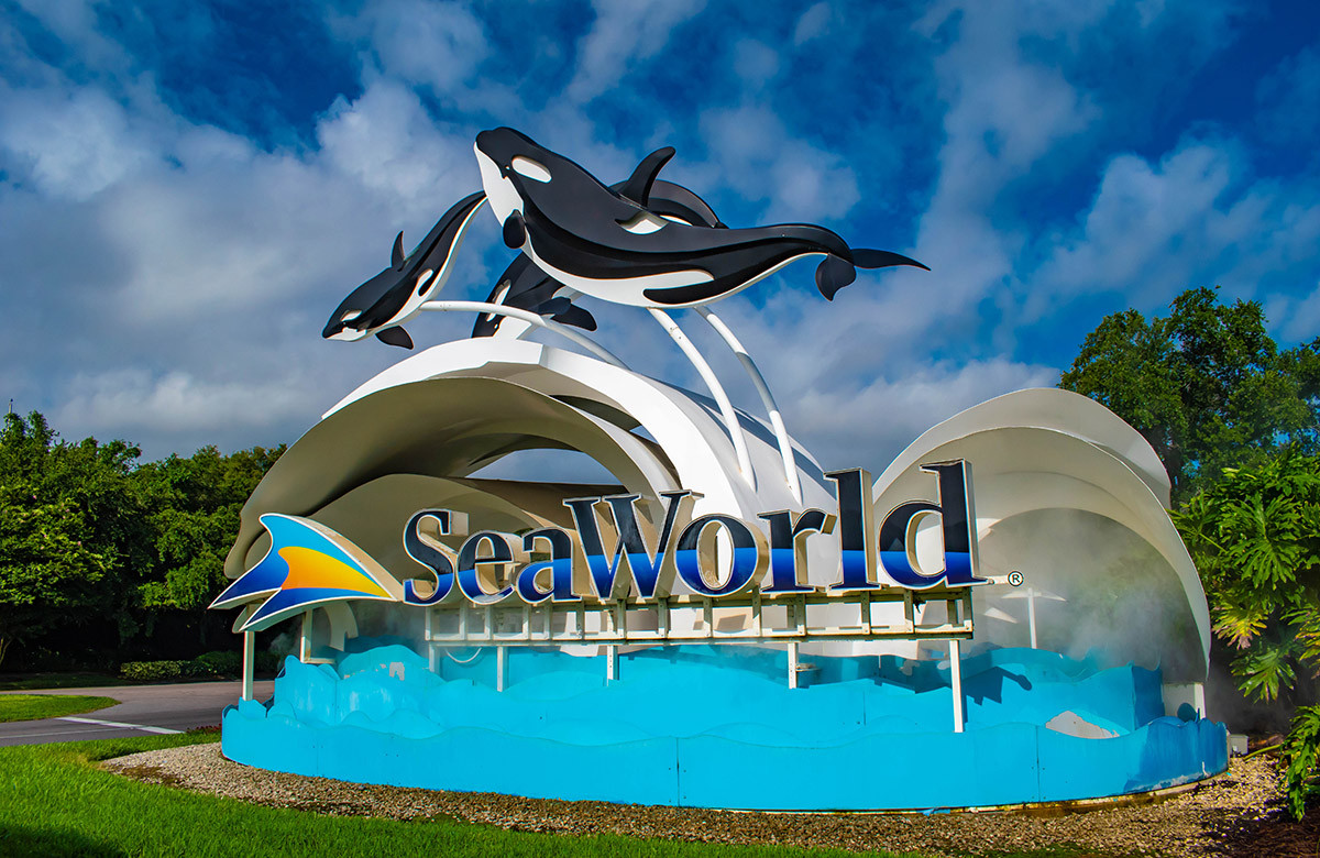 SeaWorld Entertainment назначила нового исполнительного директора