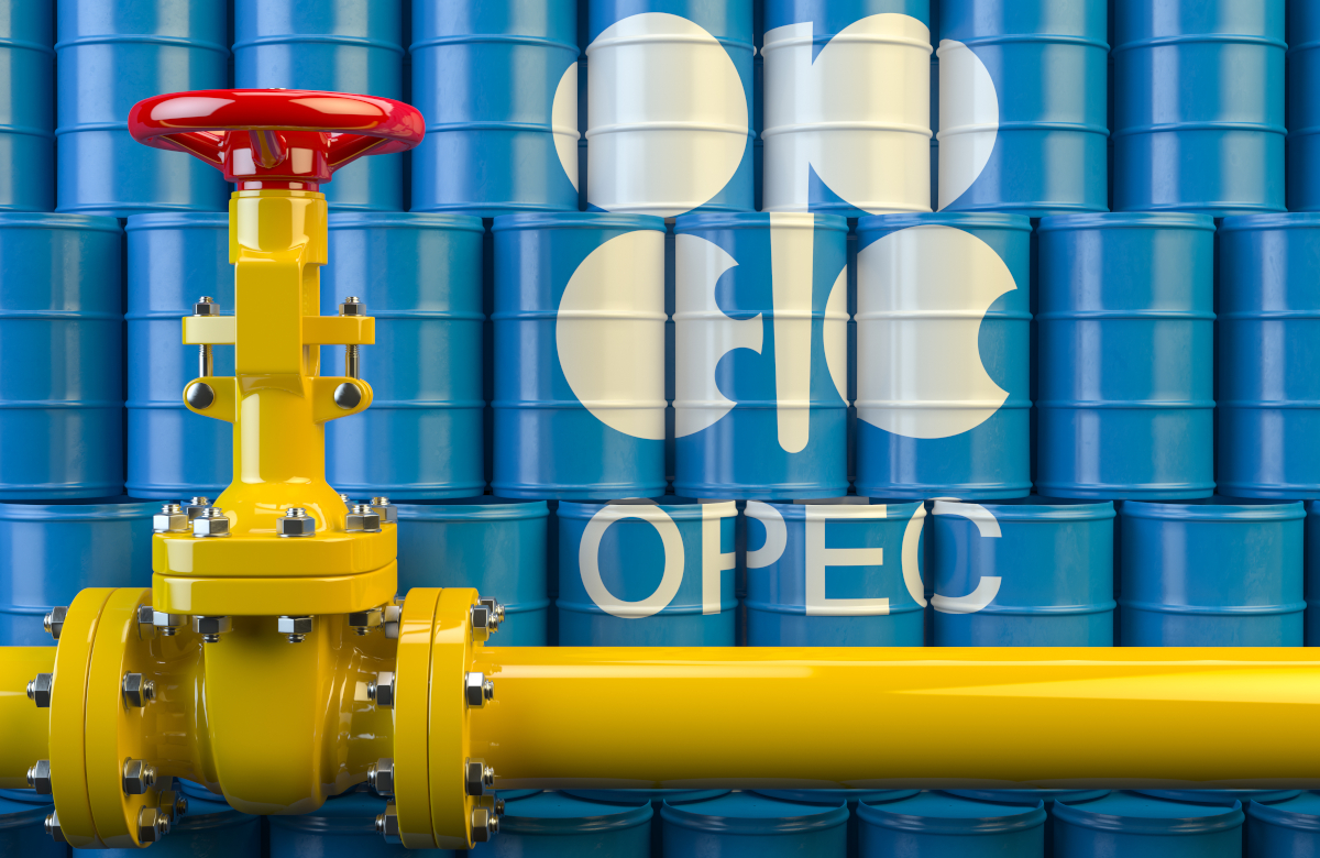 ОПЕК прогнозирует замедление роста мирового спроса на нефть в 2023 году