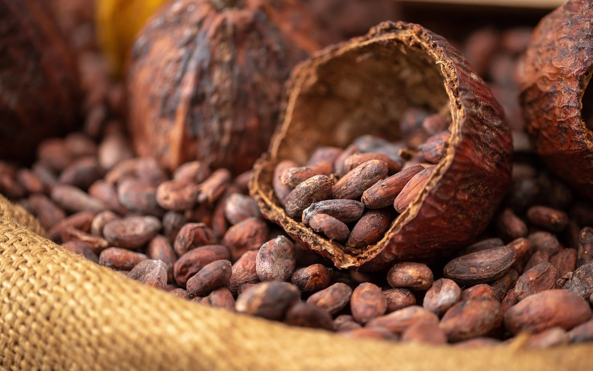Цены на какао выросли до максимума за всю историю