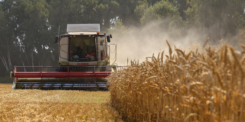 Цены на пшеницу резко выросли на новости об остановке зерновой сделки