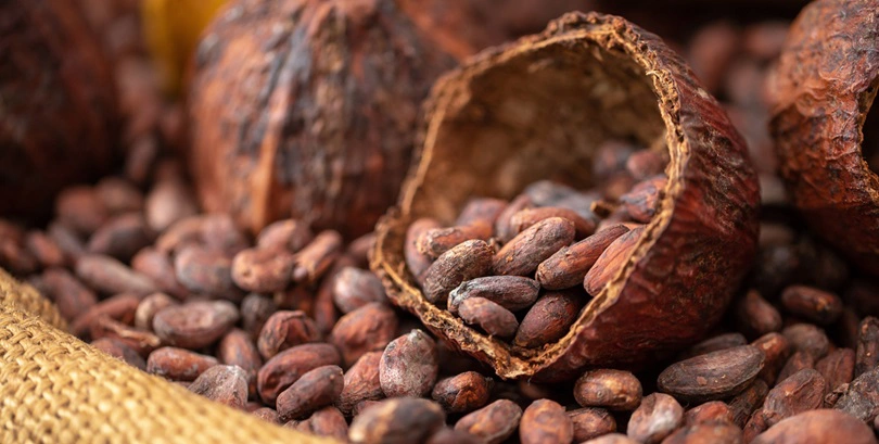 Цены на какао выросли до максимума за всю историю