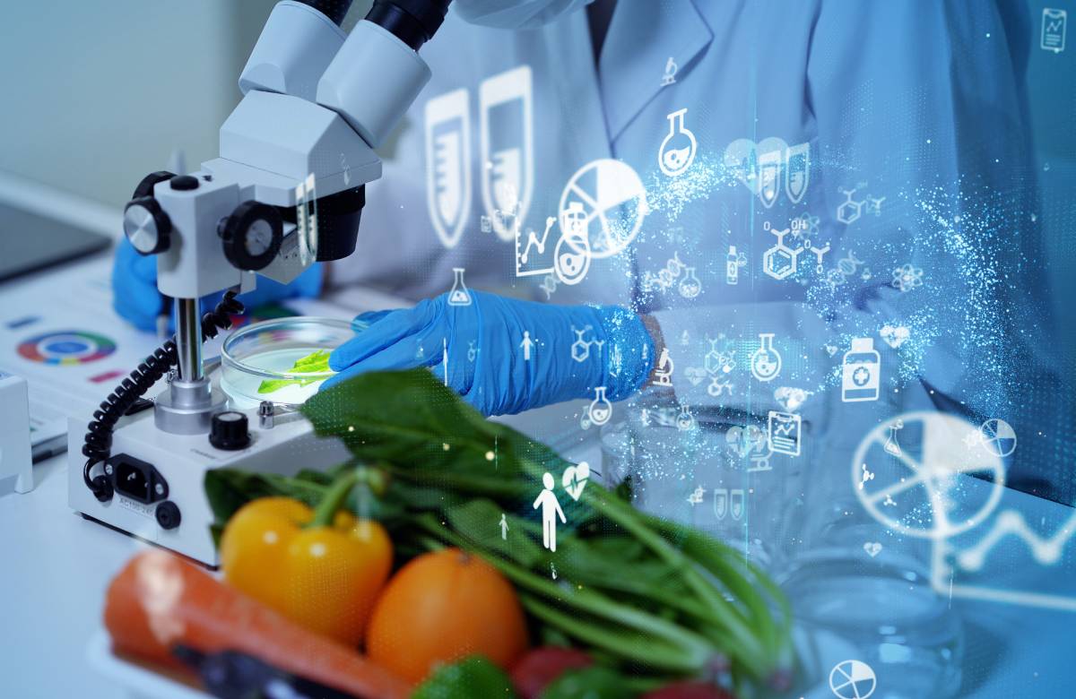 Объем инвестиций в пищевые технологии вырос до рекордных $13 млрд