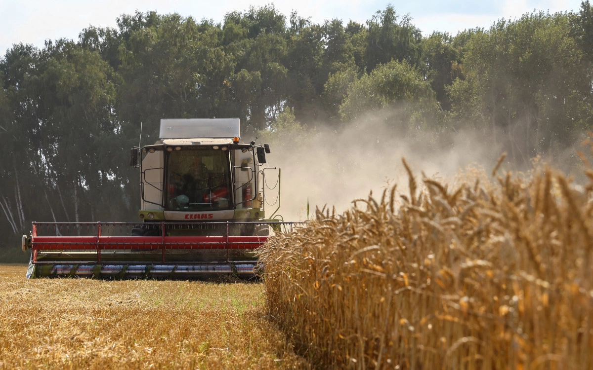 Пшеница подорожала до максимума за 4 месяца после событий с ЧВК «Вагнер»