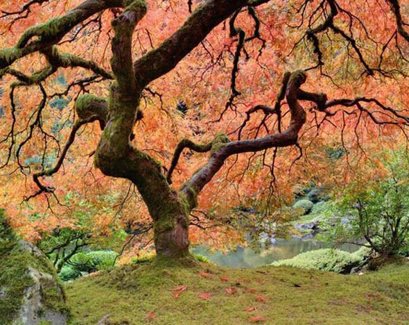 Фото: 123rf.com
