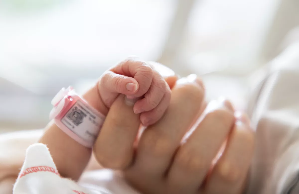 Акции «Мать и дитя» взлетели на 12% на новости о реструктуризации