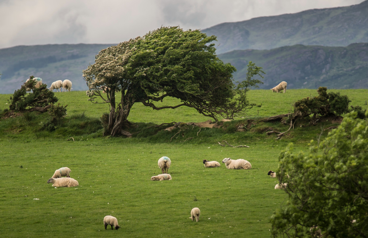 Фото: Florian Gaertner/Photothek via Getty Images