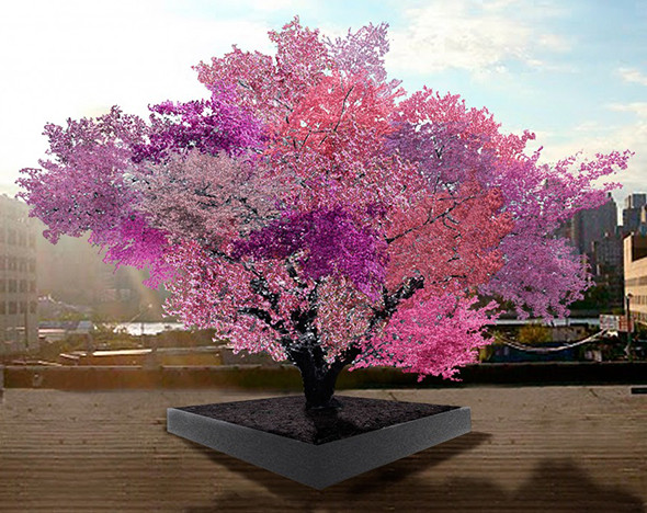 Фото: treeof40fruit.com