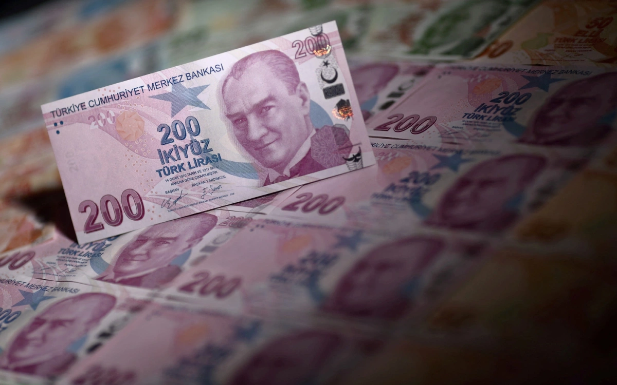Курс турецкой лиры упал до нового исторического минимума