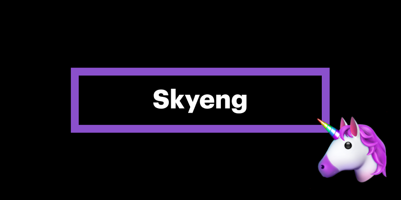Прогулка с единорогами: как основатели Skyeng ели доширак и спали на полу