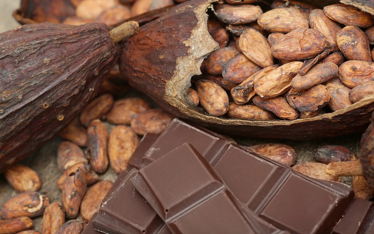 Фьючерсы на какао-бобы обогнали по доходности индекс NASDAQ Composite