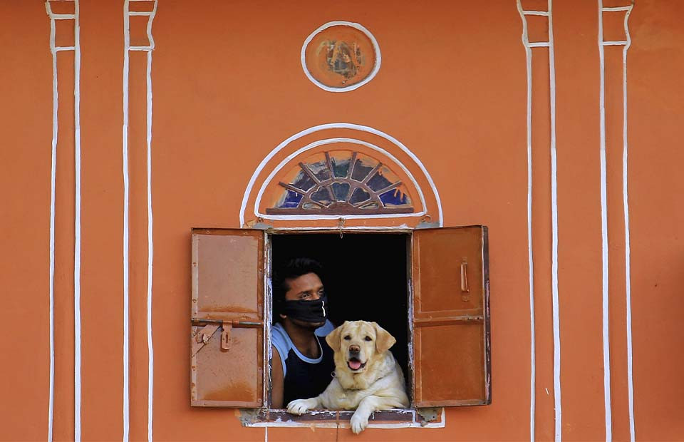 Фото: Vishal Bhatnagar/NurPhoto via Getty Images