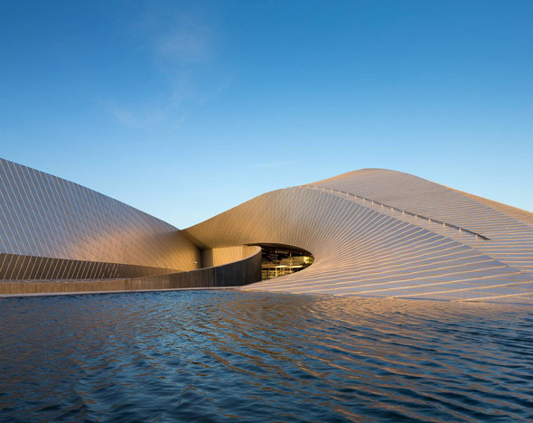 Фото: 3xn.com